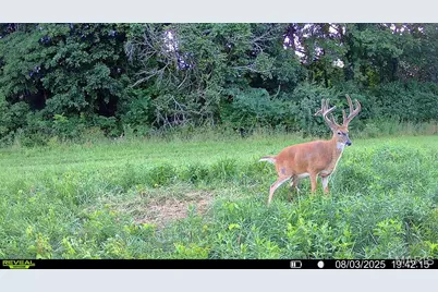 00 Highway D (77.2 +/- Acres ) Tract 1, New Melle, MO 63344 - Photo 51