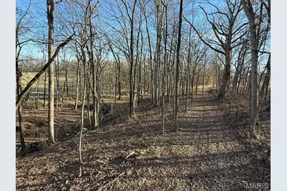 00 Highway D (77.2 +/- Acres ) Tract 1, New Melle, MO 63344 - Photo 17