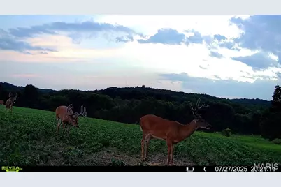 00 Highway D (77.2 +/- Acres ) Tract 1, New Melle, MO 63344 - Photo 47