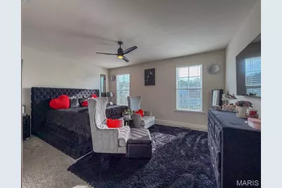 1614 Sugar Creek Drive, Festus, MO 63028 - Photo 39