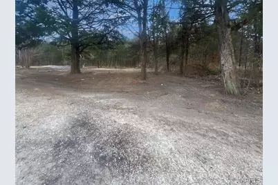 401 Hill Side Road, De Soto, MO 63020 - Photo 3