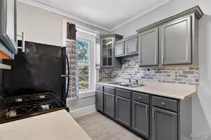 3005 S Compton Ave, Saint Louis, MO 63118 - Photo 15