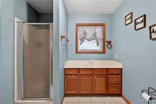 [Address not provided], House Springs, MO 63051 - Photo 45