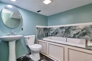 340 Birchwood Dr, Moscow Mills, MO 63362 - Photo 55