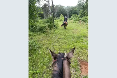 3700 State Road V, De Soto, MO 63020 - Photo 31