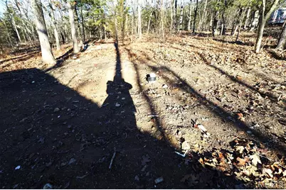 10063 S Oriole Drive, Bismarck, MO 63624 - Photo 17