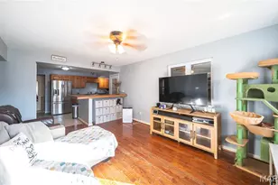 221 Watson Rd, Sullivan, MO 63080 - Photo 3