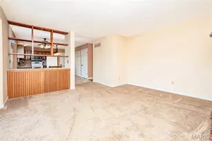 1333 Point Mariner Dr, Fenton, MO 63026 - Photo 23