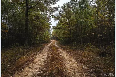 3 Lodge Road, Bourbon, MO 65565 - Photo 39
