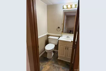 9734 Raintree Village Drive #4B, Hillsboro, MO 63050 - Photo 3