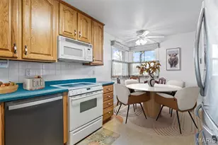 303 N Carter St, Desloge, MO 63601 - Photo 7