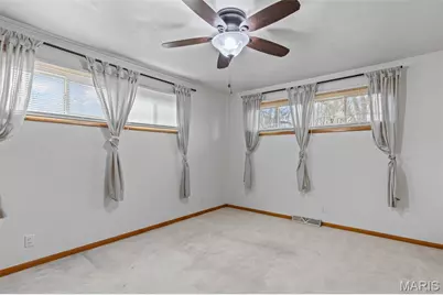 303 N Carter Street, Desloge, MO 63601 - Photo 47