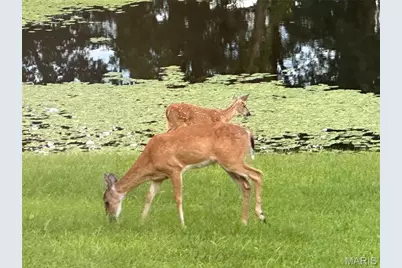 2535 S Highway 19, Salem, MO 65560 - Photo 69