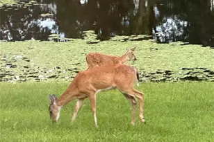 2535 S Hwy 19, Salem, MO 65560 - Photo 69