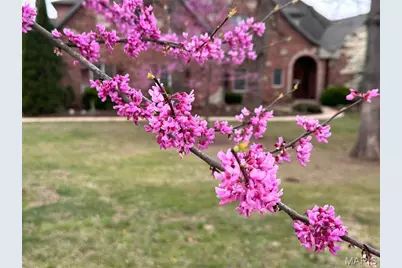 2535 S Highway 19, Salem, MO 65560 - Photo 73