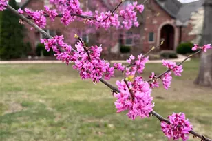 2535 S Hwy 19, Salem, MO 65560 - Photo 73