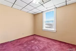 4372 Ellenwood Ave, Saint Louis, MO 63116 - Photo 15