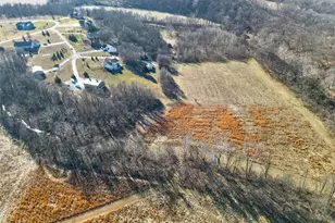 113 Bridlespur Ct, Hawk Point, MO 63349 - Photo 73