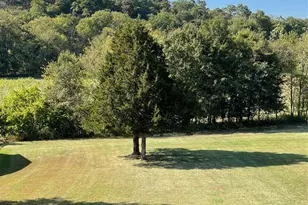 113 Bridlespur Ct, Hawk Point, MO 63349 - Photo 7