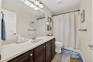 113 Bridlespur Ct, Hawk Point, MO 63349 - Photo 47