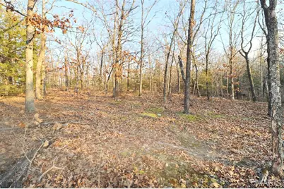 0 Perkins Road, Saint Clair, MO 63077 - Photo 5