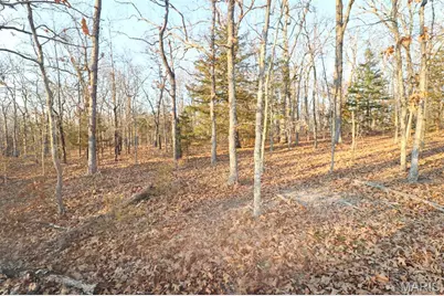 0 Perkins Road, Saint Clair, MO 63077 - Photo 7