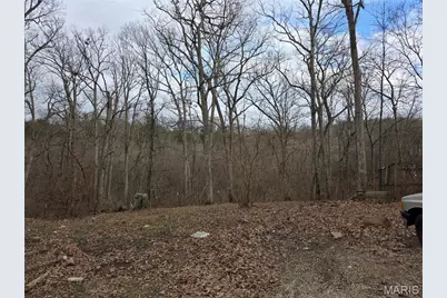 1695 Wade Road, Pacific, MO 63069 - Photo 1