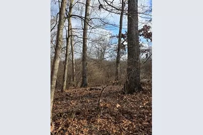 1695 Wade Road, Pacific, MO 63069 - Photo 7