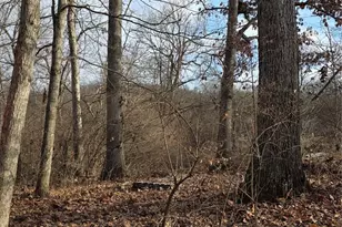 1695 Wade Rd, Pacific, MO 63069 - Photo 7