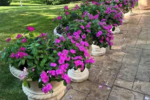 27 Carlton Lake Ct, Wentzville, MO 63385 - Photo 37