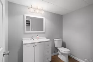 436 Tregaron Pl, Frontenac, MO 63131 - Photo 47