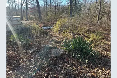 470 Cedar View Drive, Lonedell, MO 63060 - Photo 5