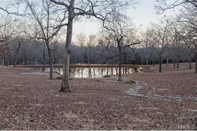 6164 Roberts Lane, Farmington, MO 63640 - Photo 7