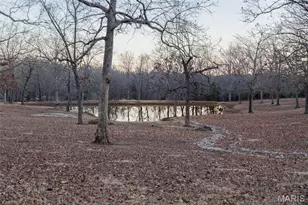 6164 Roberts Ln, Farmington, MO 63640 - Photo 7