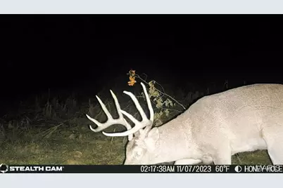 40+/- Pieper Road, Winfield, MO 63389 - Photo 33