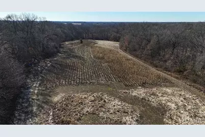 40+/- Pieper Road, Winfield, MO 63389 - Photo 3