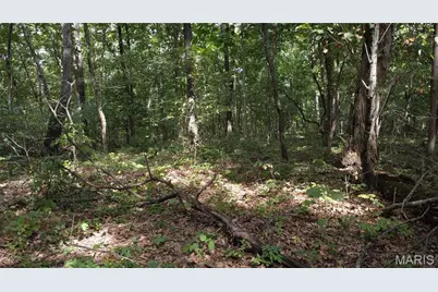 10223 San Juan Trail, Sullivan, MO 63080 - Photo 29