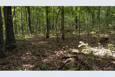 10223 San Juan Trail, Sullivan, MO 63080 - Photo 27