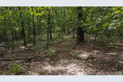 10223 San Juan Trail, Sullivan, MO 63080 - Photo 35