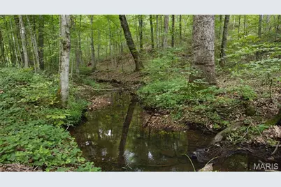 10223 San Juan Trail, Sullivan, MO 63080 - Photo 17