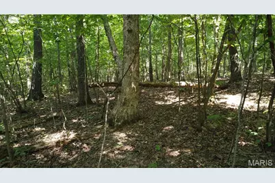 10223 San Juan Trail, Sullivan, MO 63080 - Photo 37