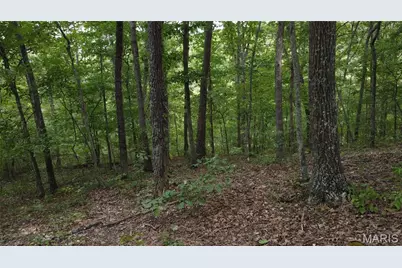 10223 San Juan Trail, Sullivan, MO 63080 - Photo 23