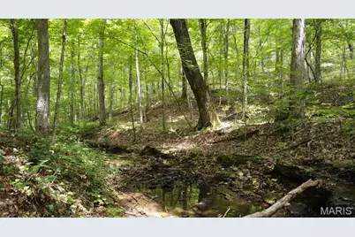 10223 San Juan Trail, Sullivan, MO 63080 - Photo 19