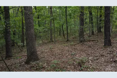 10223 San Juan Trail, Sullivan, MO 63080 - Photo 31