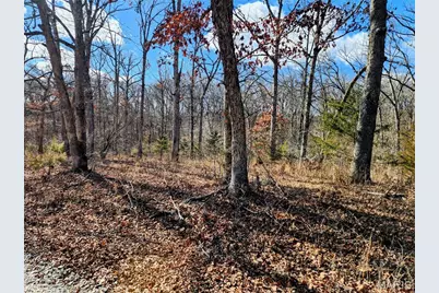 Lot 48 Block G Red Bud Drive, Catawissa, MO 63015 - Photo 3