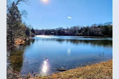 Lot 48 Block G Red Bud Drive, Catawissa, MO 63015 - Photo 9