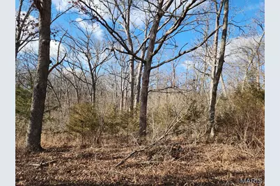 Lot 48 Block G Red Bud Drive, Catawissa, MO 63015 - Photo 5