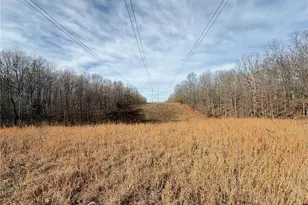 1620 County Rd 5170, Salem, MO 65560 - Photo 59