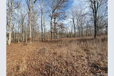 1620 County Road 5170, Salem, MO 65560 - Photo 57