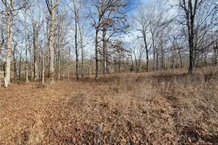 1620 County Rd 5170, Salem, MO 65560 - Photo 57